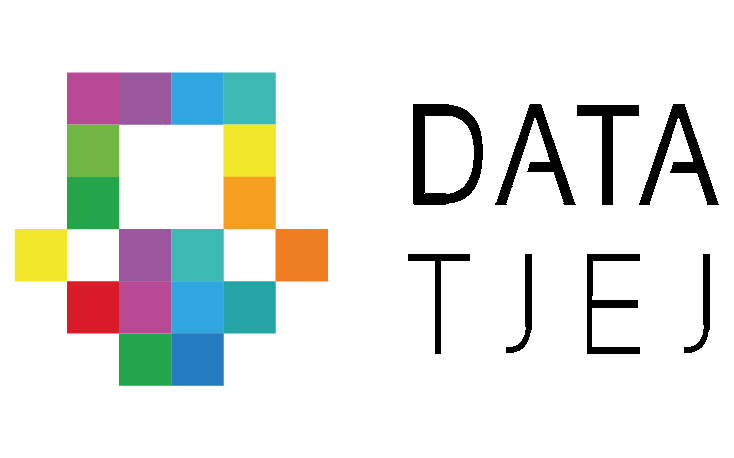 logo of DataTjej